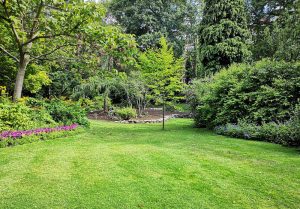 Optimiser l'expérience du jardin à Malicornay